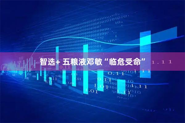智选+ 五粮液邓敏“临危受命”